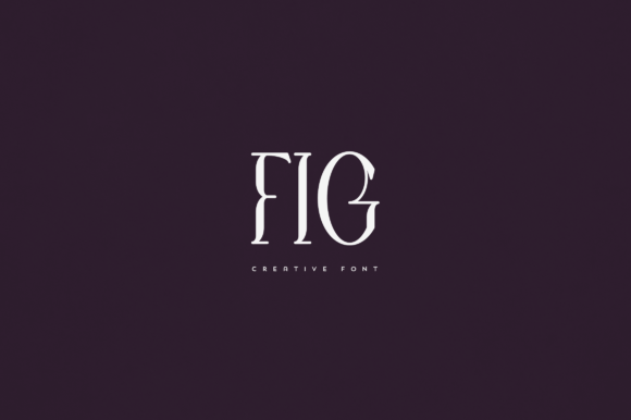 Fig: A Premium Display Font for Polished Branding