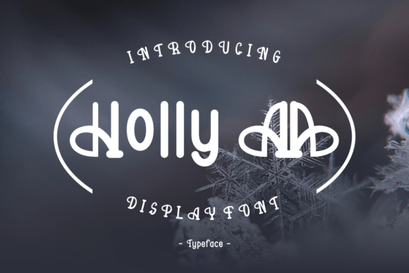 Holly Aa: The Perfect Display Font for Branding