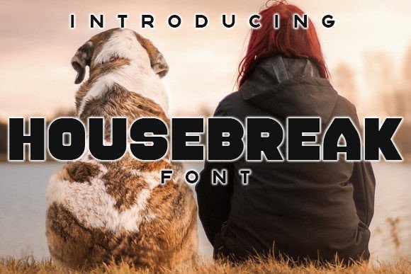 Housebreak: A Bold Display Font for Striking Editorial Design
