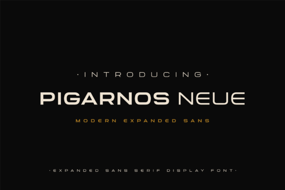 Pigarnos Neue: A Modern Display Font for Digital Brands